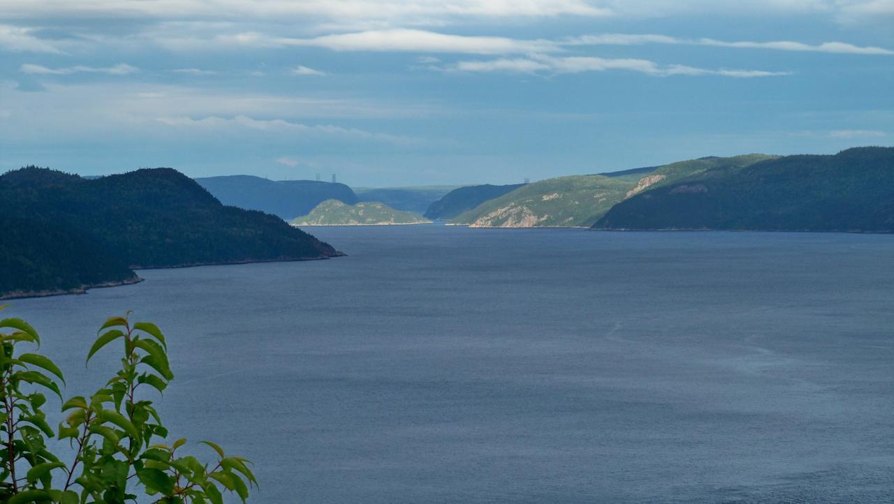 Gite Marie-Claire Petit-Saguenay Exterior foto